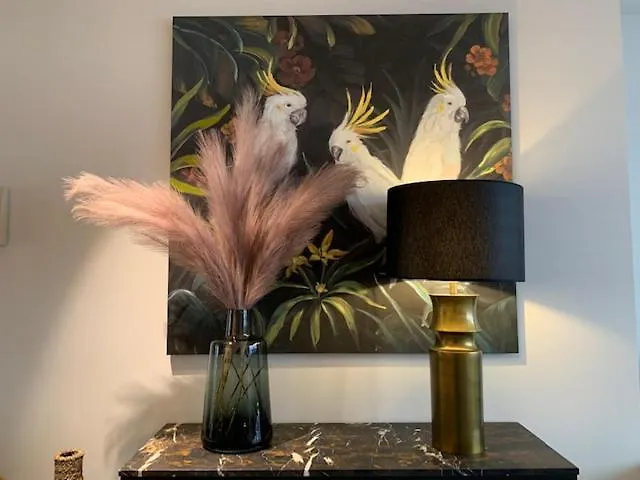 Apartman Even Aan Zee - Largo *